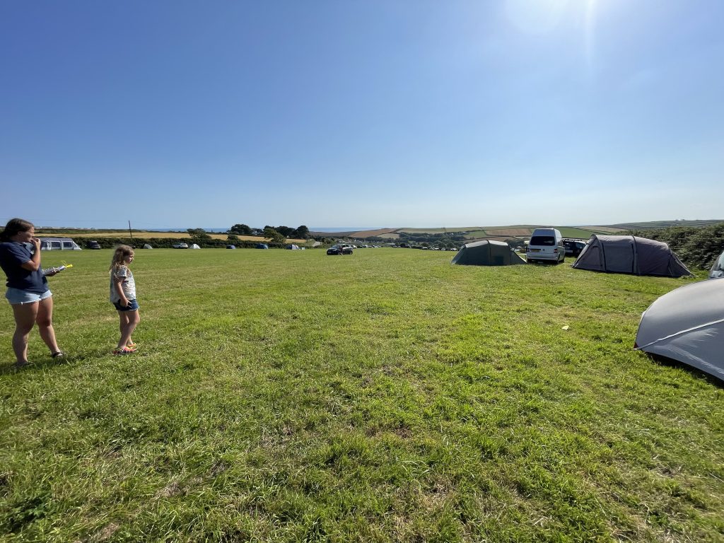 field_6.jpg